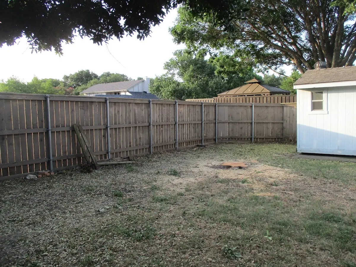 Cleared yard after professional tree removal in Fossil
